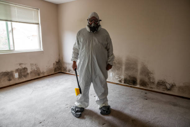 Best Industrial Mold Remediation in Wabasso, FL